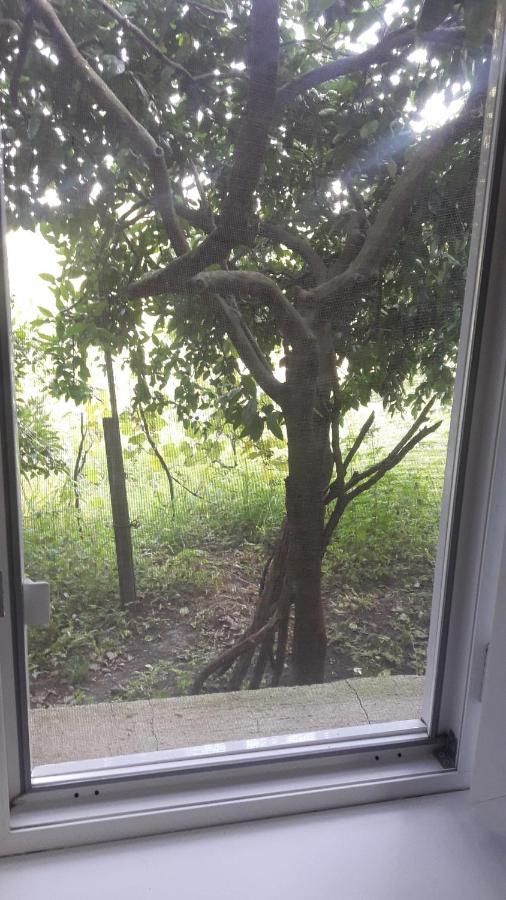 Ni- Ke Otel Tskaltubo Dış mekan fotoğraf